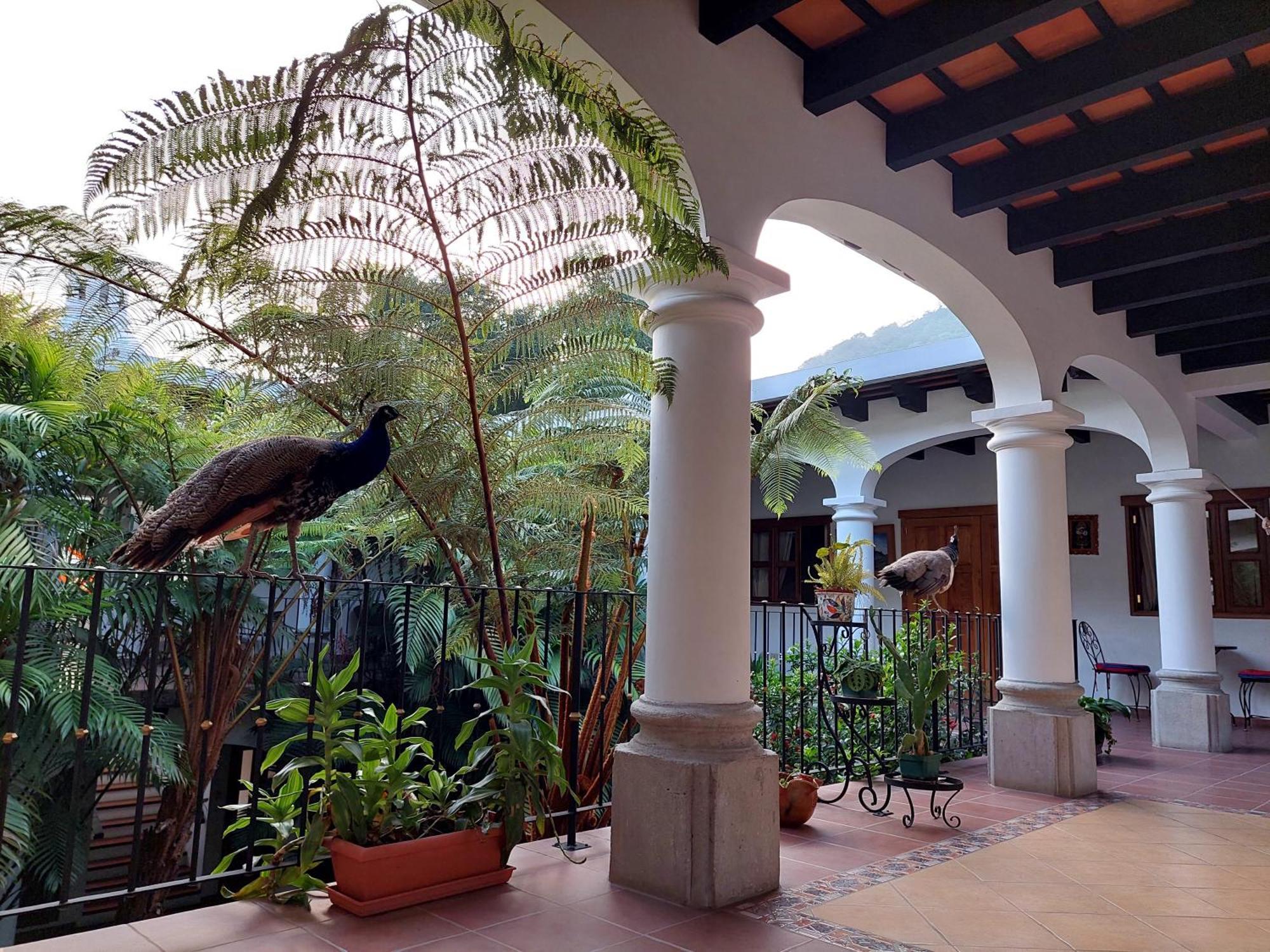 Hotel Y Jardines Casa Buho Antigua Exterior photo
