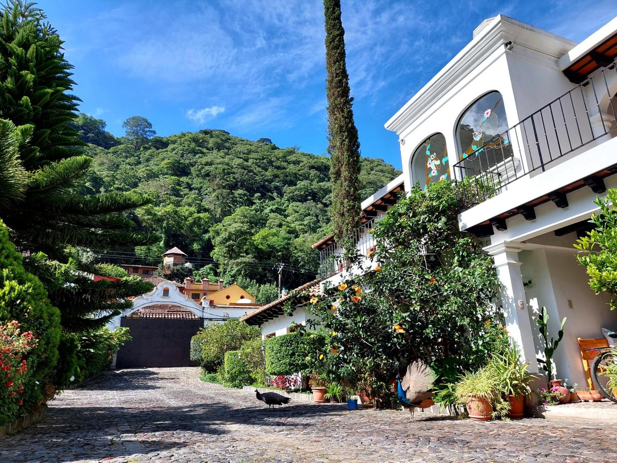 Hotel Y Jardines Casa Buho Antigua Exterior photo